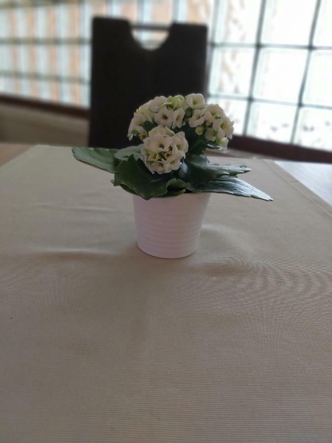 Horvath Fogado Panzio Hotel Szentendre Buitenkant foto